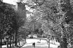 Old-London-Road.-Old-Town.-1903.